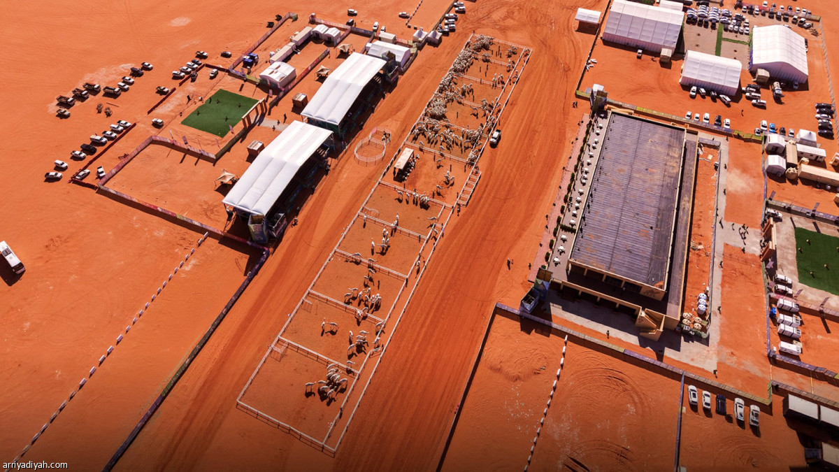 منافسات «سيف الملك»