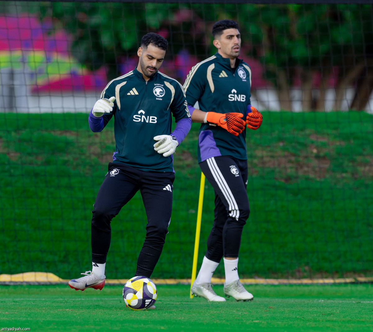 الأخضر يعود