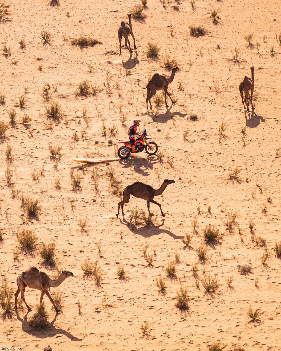 داكار في حائل
