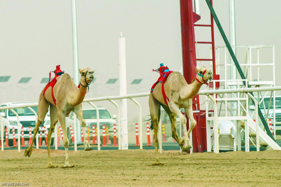 الراية 
يقترب من اللقب.. ودلما تسجل أفضل توقيت